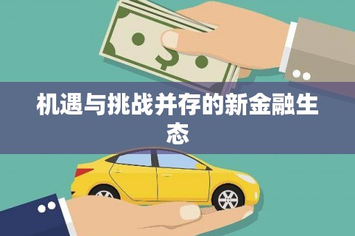 深坑机遇与挑战并存的新金融生态