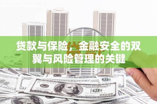 深坑贷款与保险，金融安全的双翼与风险管理的关键