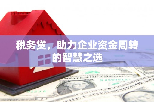 深坑税务贷，助力企业资金周转的智慧之选