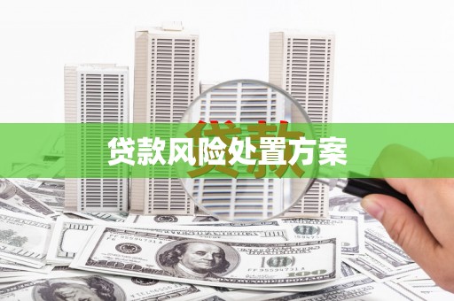 深坑贷款风险处置方案