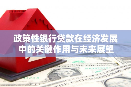 深坑政策性银行贷款在经济发展中的关键作用与未来展望