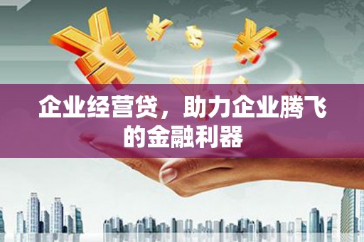 深坑企业经营贷，助力企业腾飞的金融利器