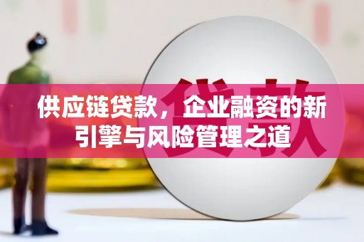 深坑供应链贷款，企业融资的新引擎与风险管理之道