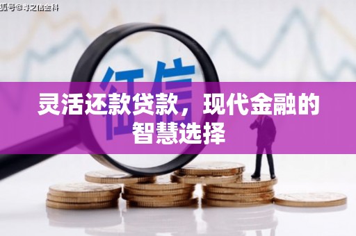 深坑灵活还款贷款，现代金融的智慧选择