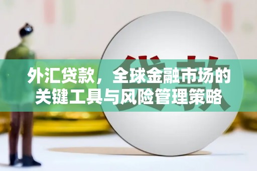 深坑外汇贷款，全球金融市场的关键工具与风险管理策略