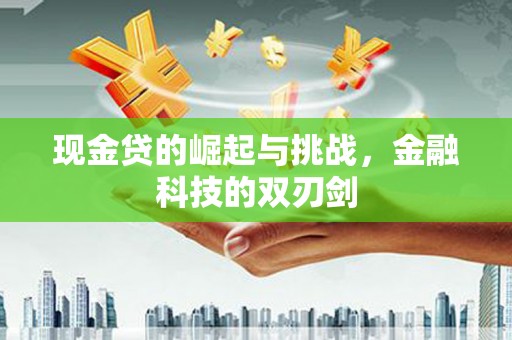 深坑现金贷的崛起与挑战，金融科技的双刃剑