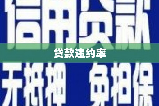 深坑贷款违约率