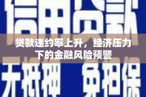深坑贷款违约率上升，经济压力下的金融风险预警