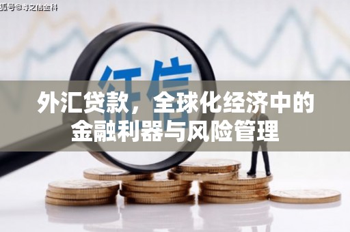 深坑外汇贷款，全球化经济中的金融利器与风险管理