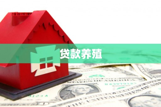 深坑贷款养殖