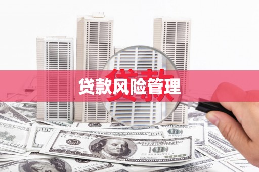 深坑贷款风险管理