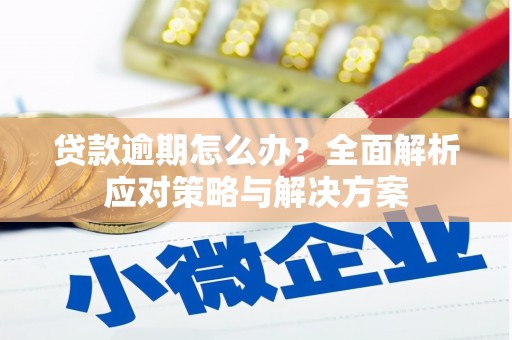 深坑贷款逾期怎么办？全面解析应对策略与解决方案