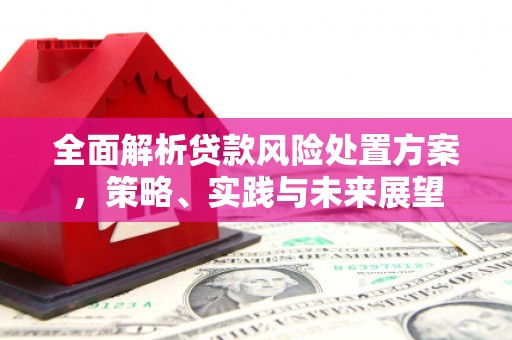 深坑全面解析贷款风险处置方案，策略、实践与未来展望