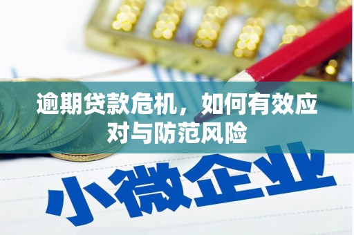 深坑逾期贷款危机，如何有效应对与防范风险