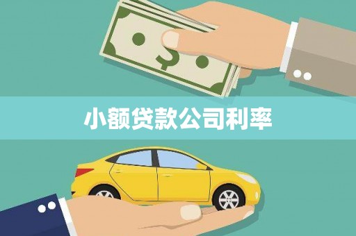 深坑小额贷款公司利率