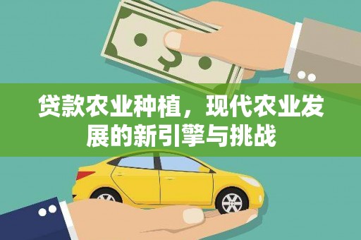深坑贷款农业种植，现代农业发展的新引擎与挑战