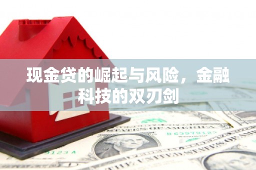 深坑现金贷的崛起与风险，金融科技的双刃剑