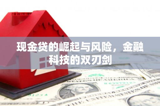 深坑现金贷的崛起与风险，金融科技的双刃剑