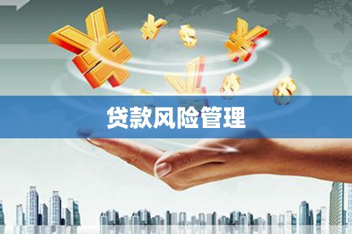 深坑贷款风险管理
