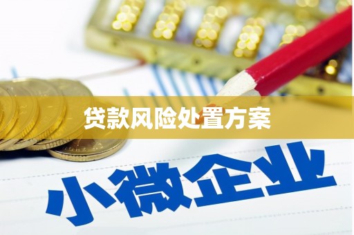 深坑贷款风险处置方案