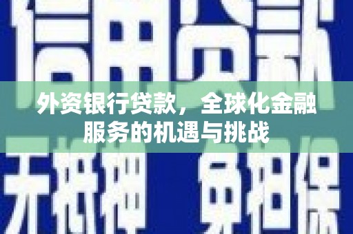 深坑外资银行贷款，全球化金融服务的机遇与挑战