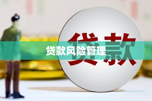 深坑贷款风险管理