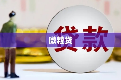 深坑微粒贷