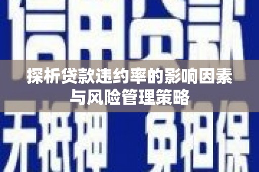 深坑探析贷款违约率的影响因素与风险管理策略