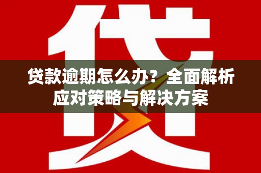 深坑贷款逾期怎么办？全面解析应对策略与解决方案