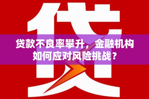 深坑贷款不良率攀升，金融机构如何应对风险挑战？