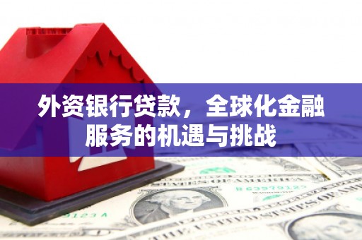 深坑外资银行贷款，全球化金融服务的机遇与挑战