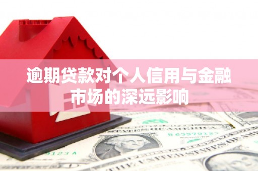 深坑逾期贷款对个人信用与金融市场的深远影响