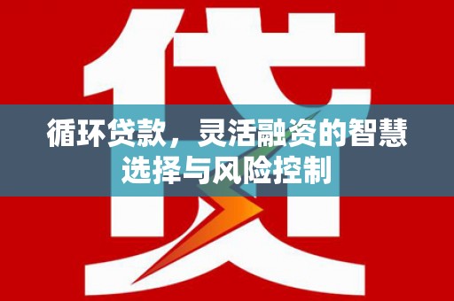 深坑循环贷款，灵活融资的智慧选择与风险控制