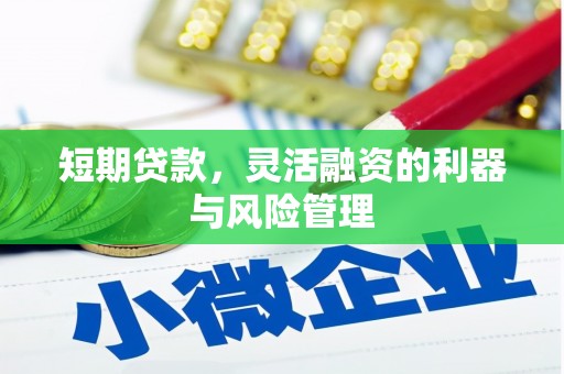 深坑短期贷款，灵活融资的利器与风险管理