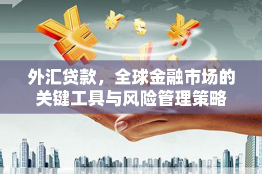 深坑外汇贷款，全球金融市场的关键工具与风险管理策略