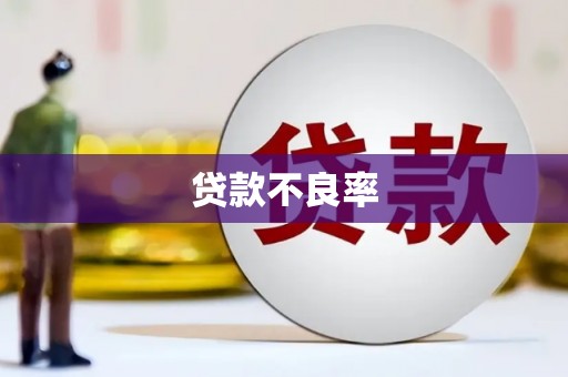 深坑贷款不良率