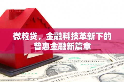 深坑微粒贷，金融科技革新下的普惠金融新篇章