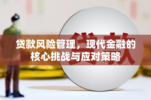 深坑贷款风险管理，现代金融的核心挑战与应对策略