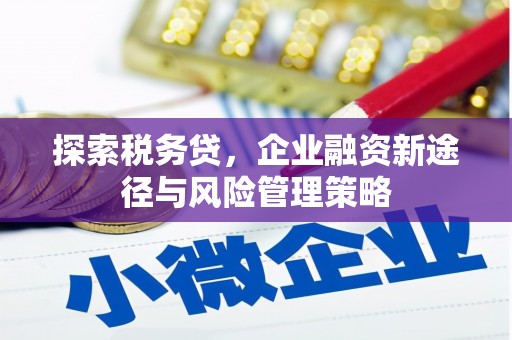 深坑探索税务贷，企业融资新途径与风险管理策略