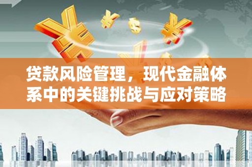 深坑贷款风险管理，现代金融体系中的关键挑战与应对策略