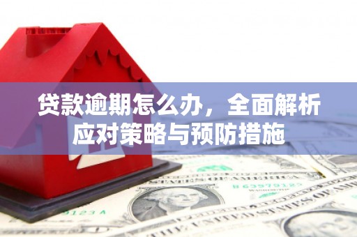 深坑贷款逾期怎么办，全面解析应对策略与预防措施