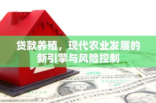 深坑贷款养殖，现代农业发展的新引擎与风险控制