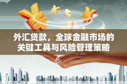 深坑外汇贷款，全球金融市场的关键工具与风险管理策略