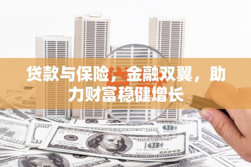深坑贷款与保险，金融双翼，助力财富稳健增长