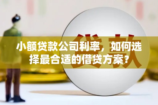 深坑小额贷款公司利率，如何选择最合适的借贷方案？