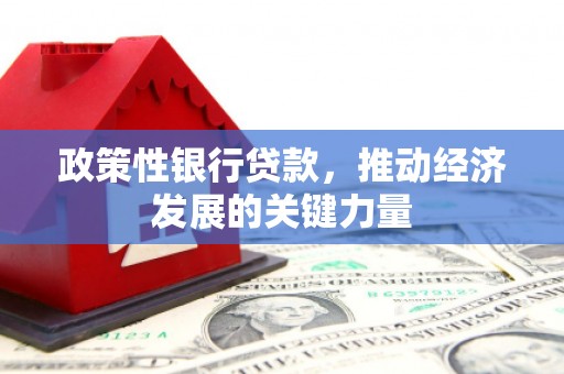 深坑政策性银行贷款，推动经济发展的关键力量