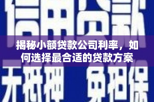 深坑揭秘小额贷款公司利率，如何选择最合适的贷款方案