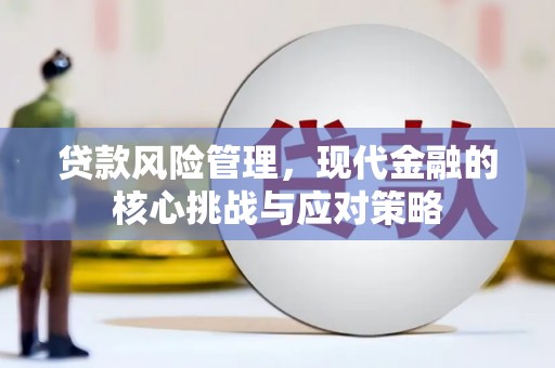 深坑贷款风险管理，现代金融的核心挑战与应对策略