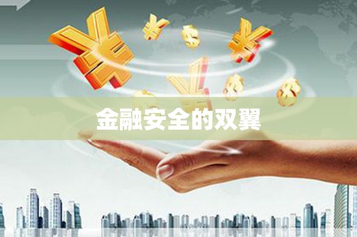 深坑金融安全的双翼