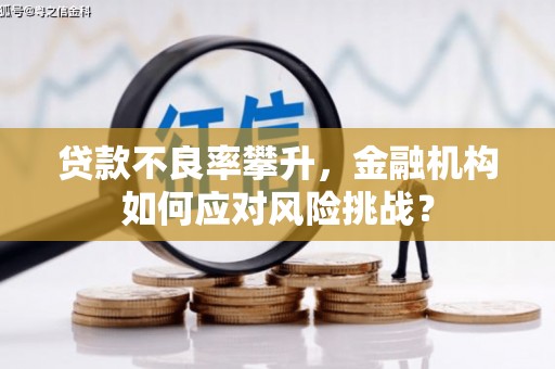 深坑贷款不良率攀升，金融机构如何应对风险挑战？